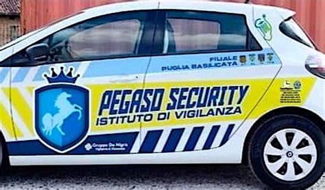 Recensioni PEGASO Security: com'è lavorare in PEGASO .